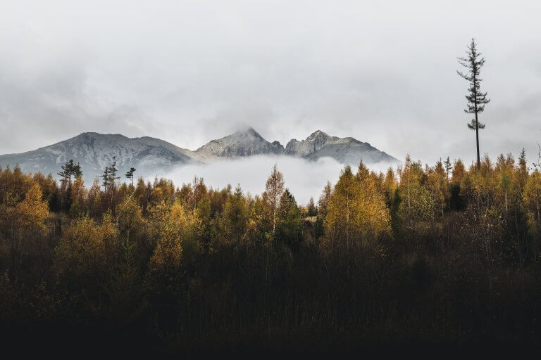 0544_2022年度の総括と次季への橋渡し | 秋の節目に歩みを棚卸し