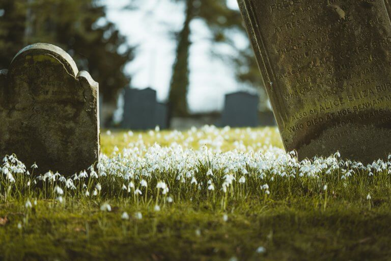 生まれる前の死を迫られた時に信仰が問われる | 理解を超える現実との向き合い
