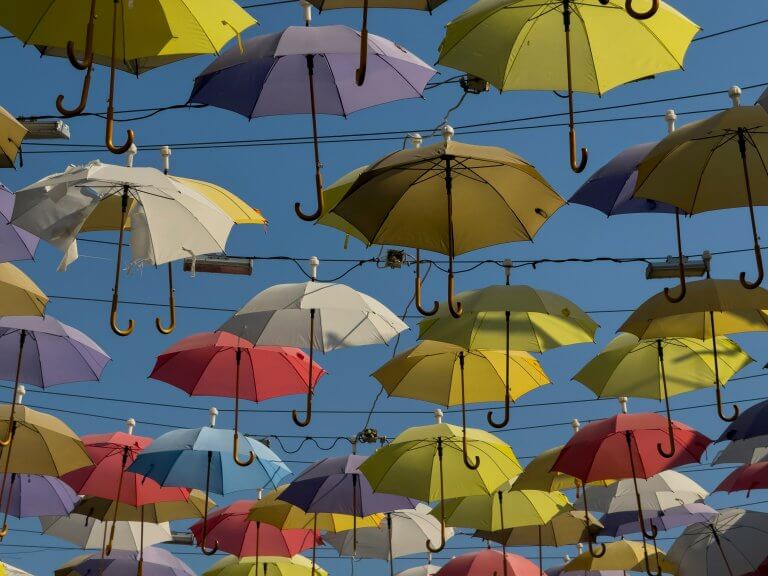 1625_男性の日傘はありかなしかを考える | 実用性と固定観念の見直し