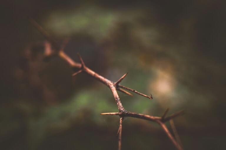 1835_すべての人が罪の中で悶絶しているわけではない | ある程度徳や品性も先天的に決まっている